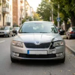 Ghid Daune Andronache: Drepturile păgubitului rca în alegerea unității reparatoare în sector 2