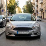 Ghid Daune Grivița: Expertiză tehnică în grivița pentru evaluarea daunelor ascunse