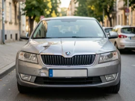 Ghid Daune Tei: Constatare amiabilă corectă în sector 2